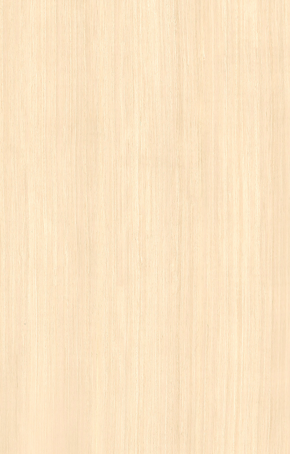 白橡5105.jpg