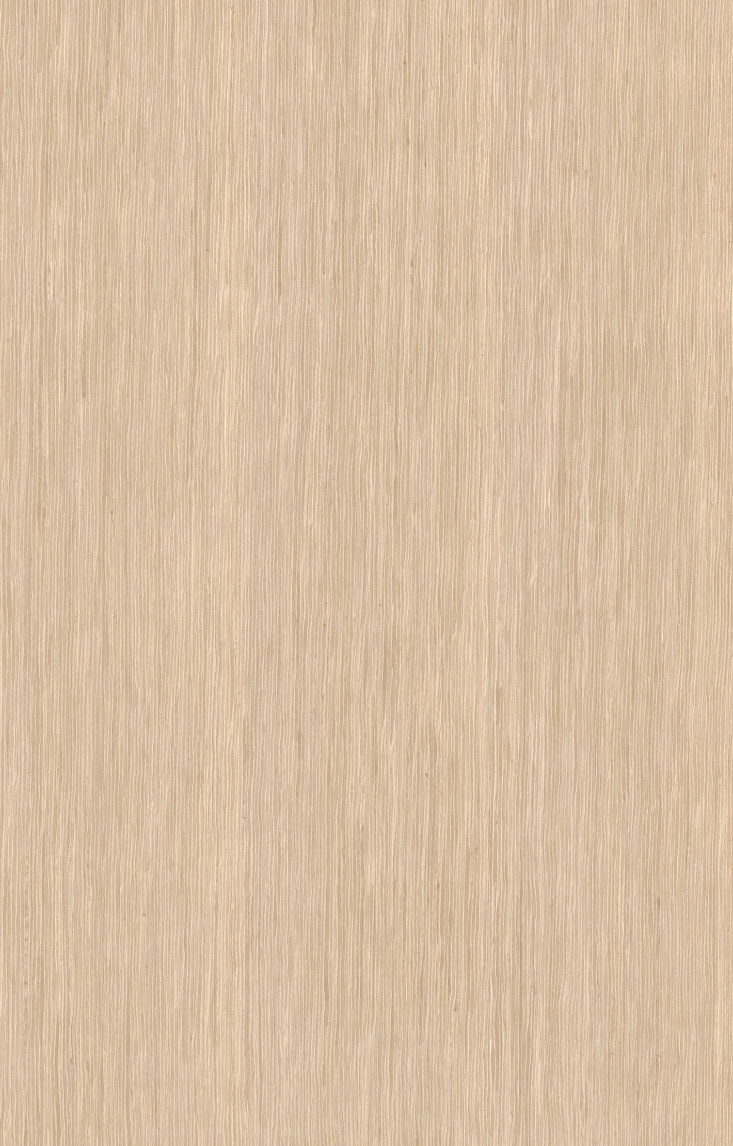 橡木5870.jpg