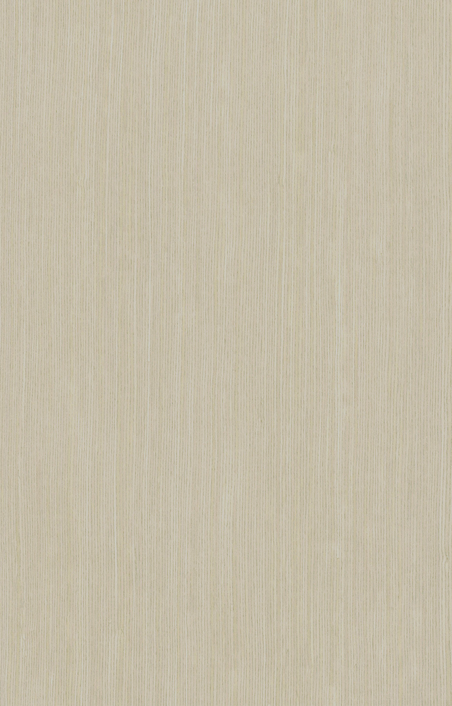 印橡黃5386.jpg