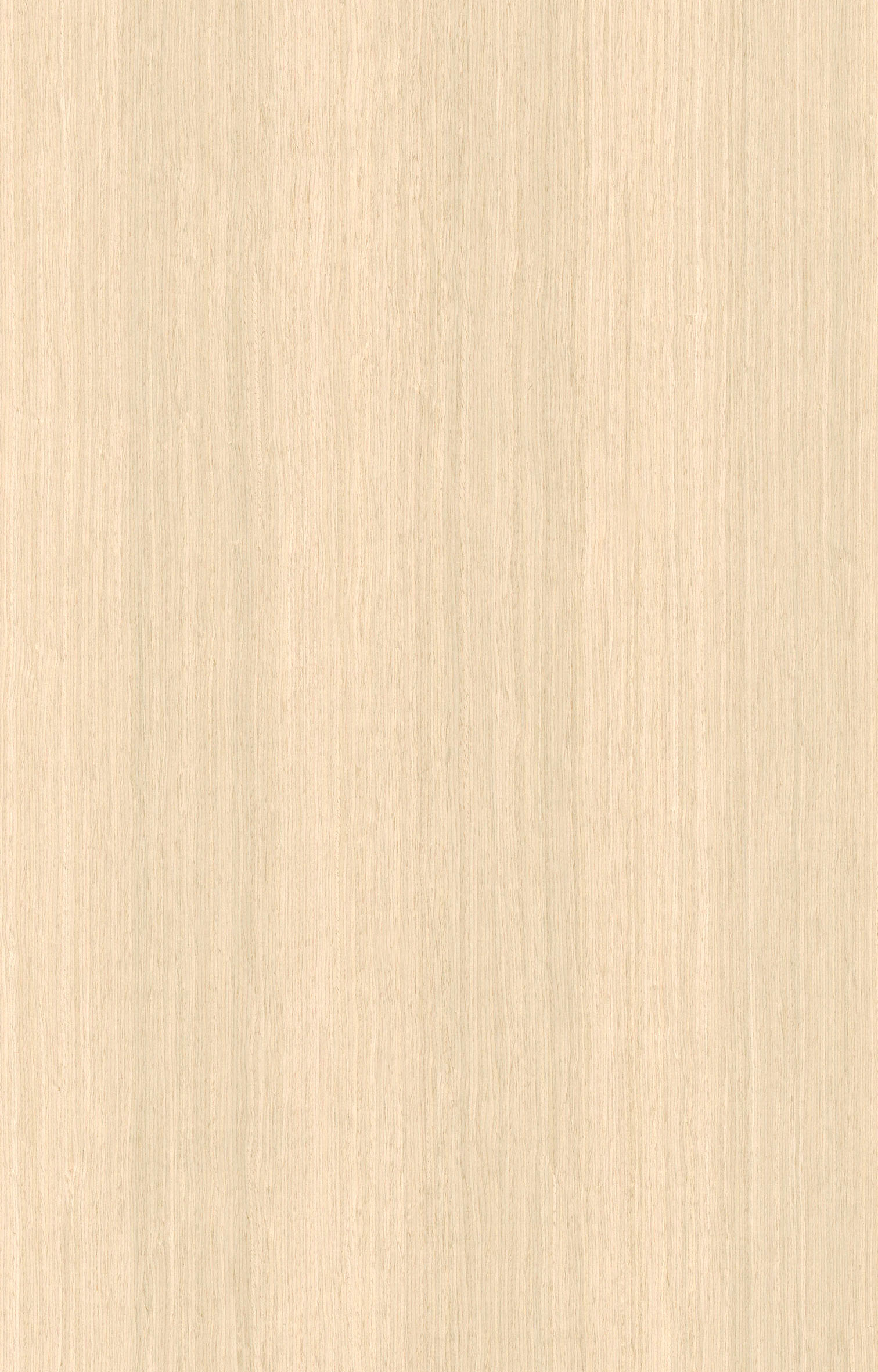 白橡5915.jpg