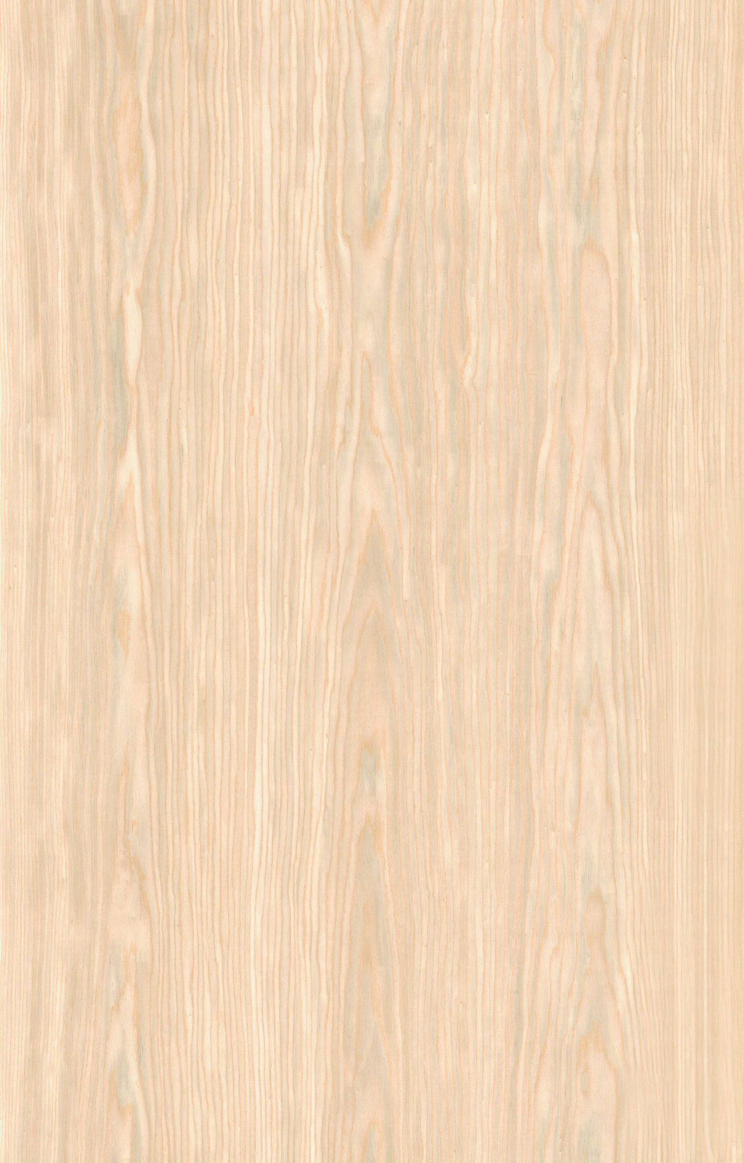 白蠟木F920.jpg