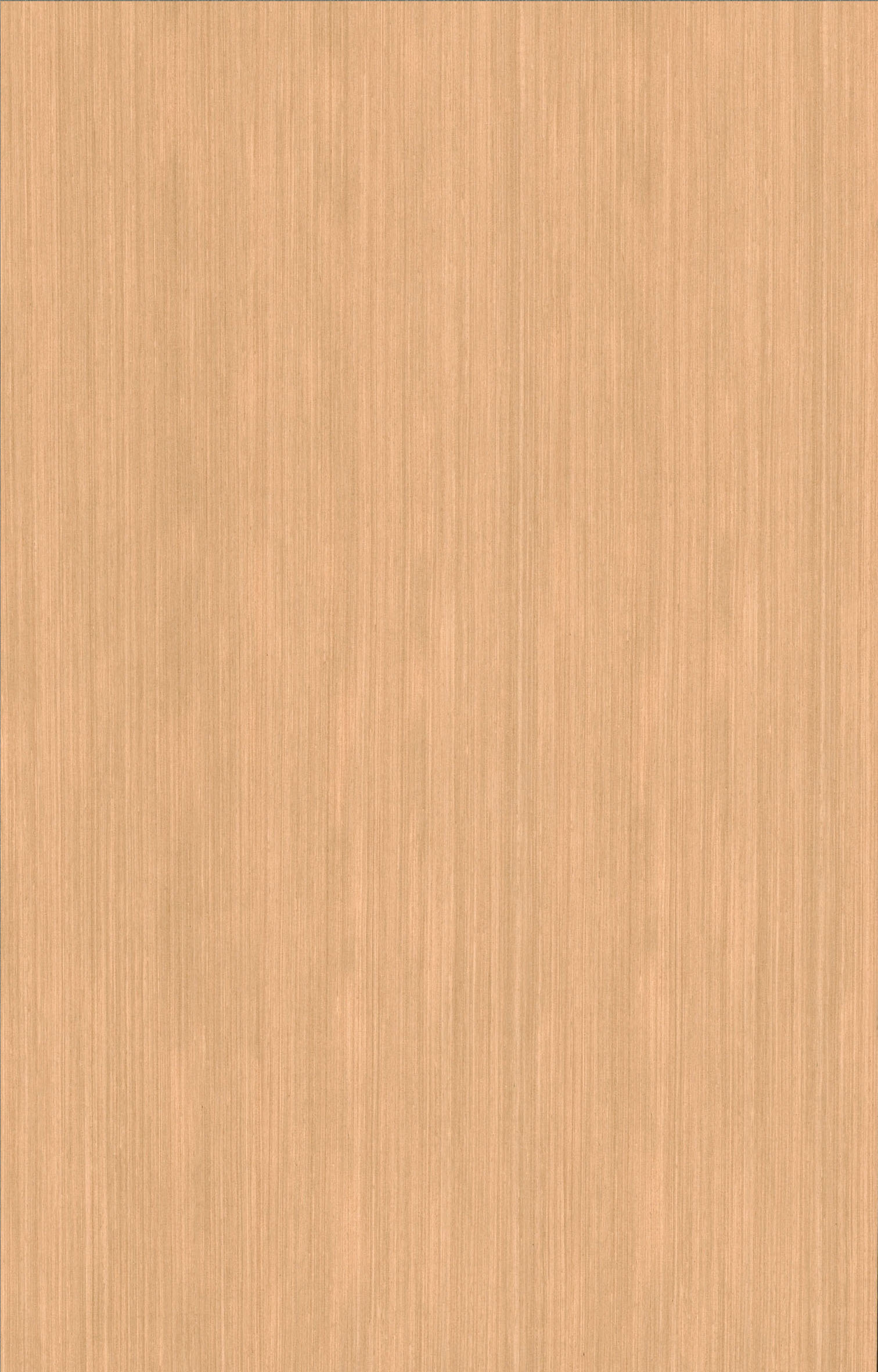 安利格3025.jpg