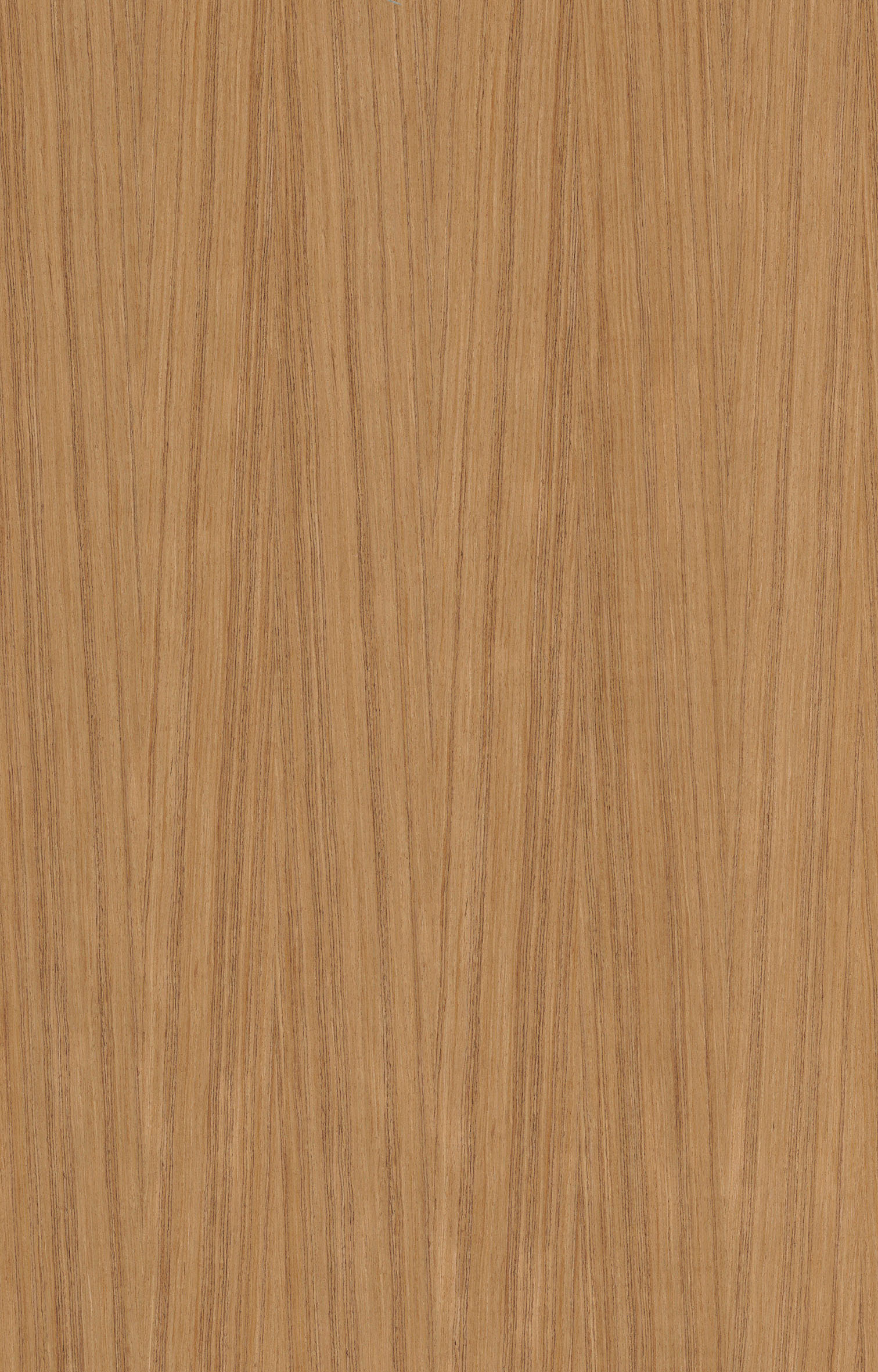 柚木S807M.jpg