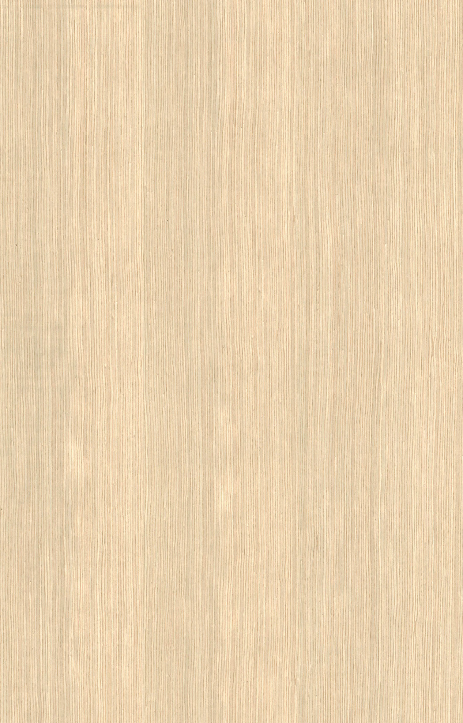 美國白橡1669SN.jpg