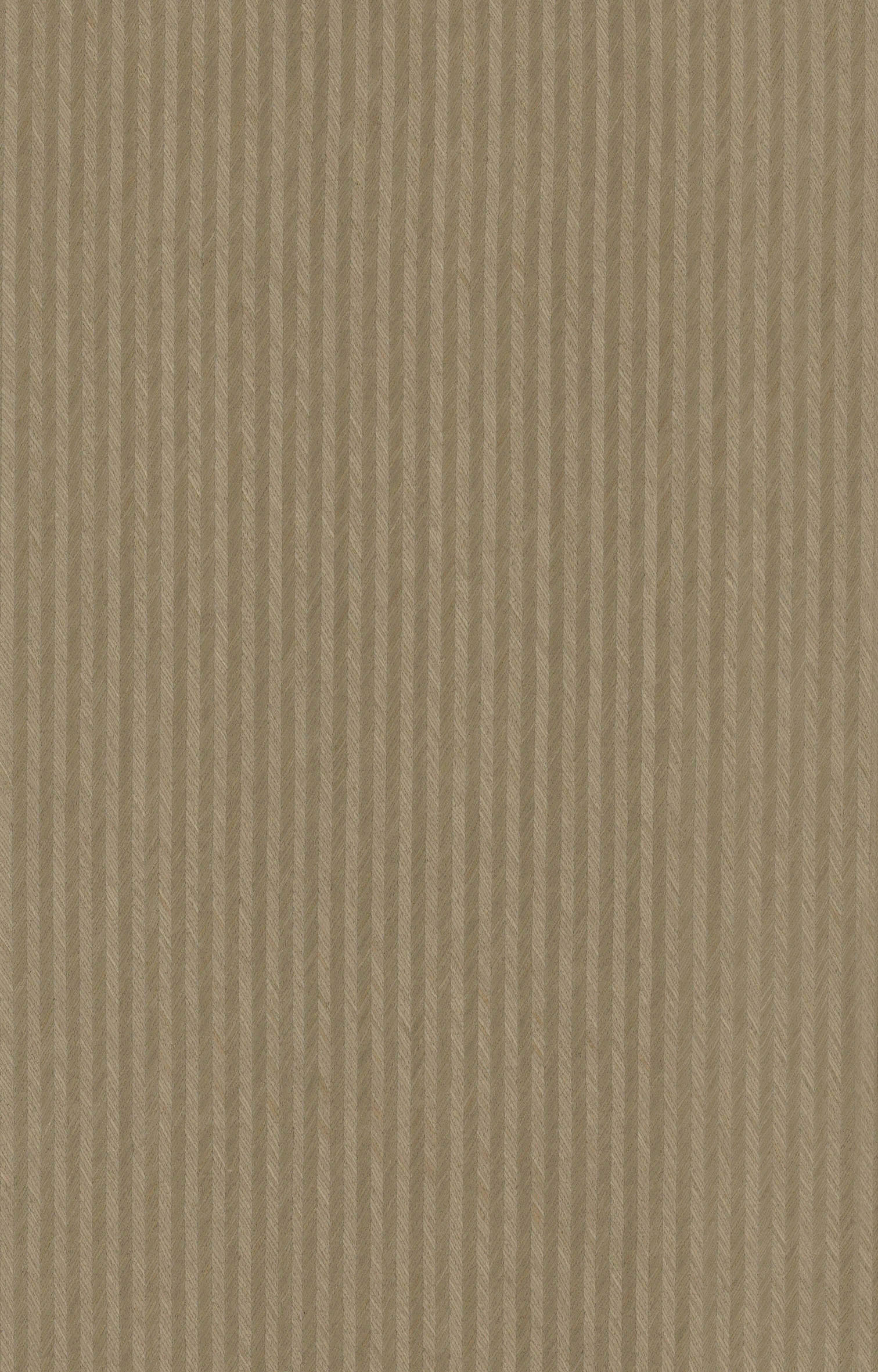 灰箭4013.jpg