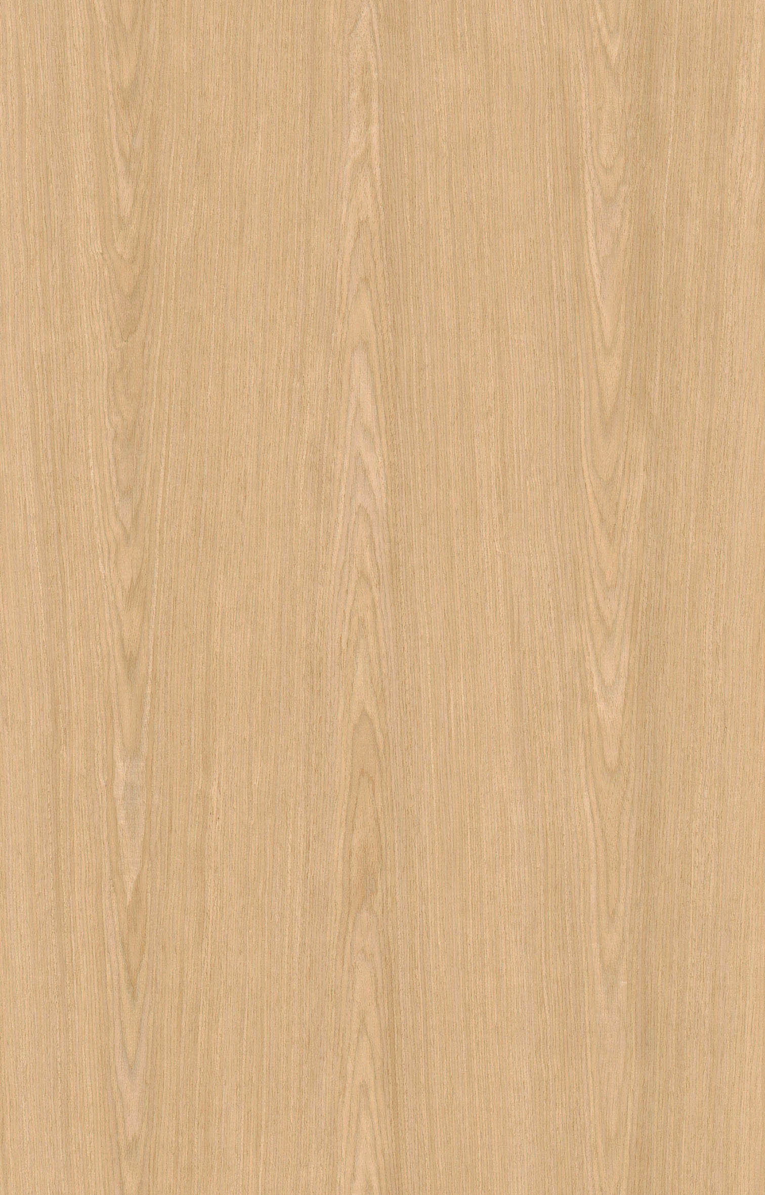 白橡1301.jpg