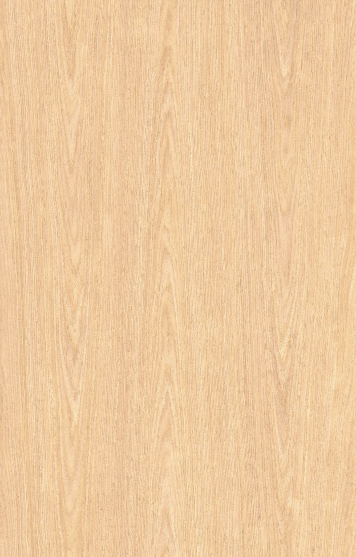白橡1395.jpg
