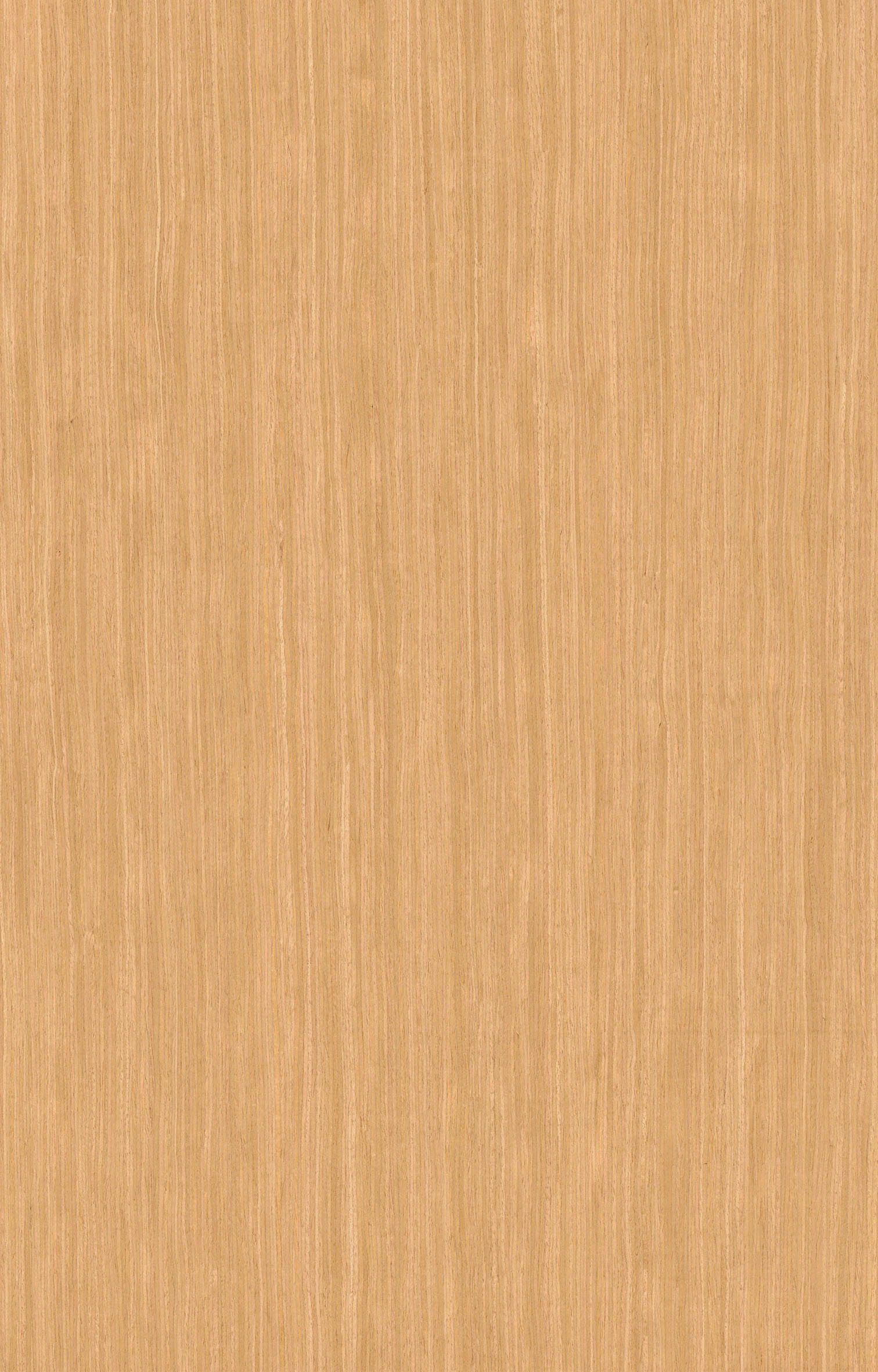 白橡5007.jpg