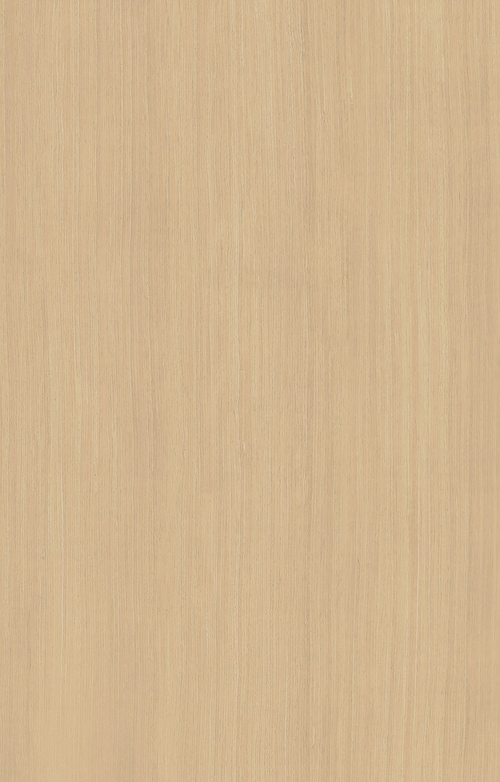 白橡5105.jpg