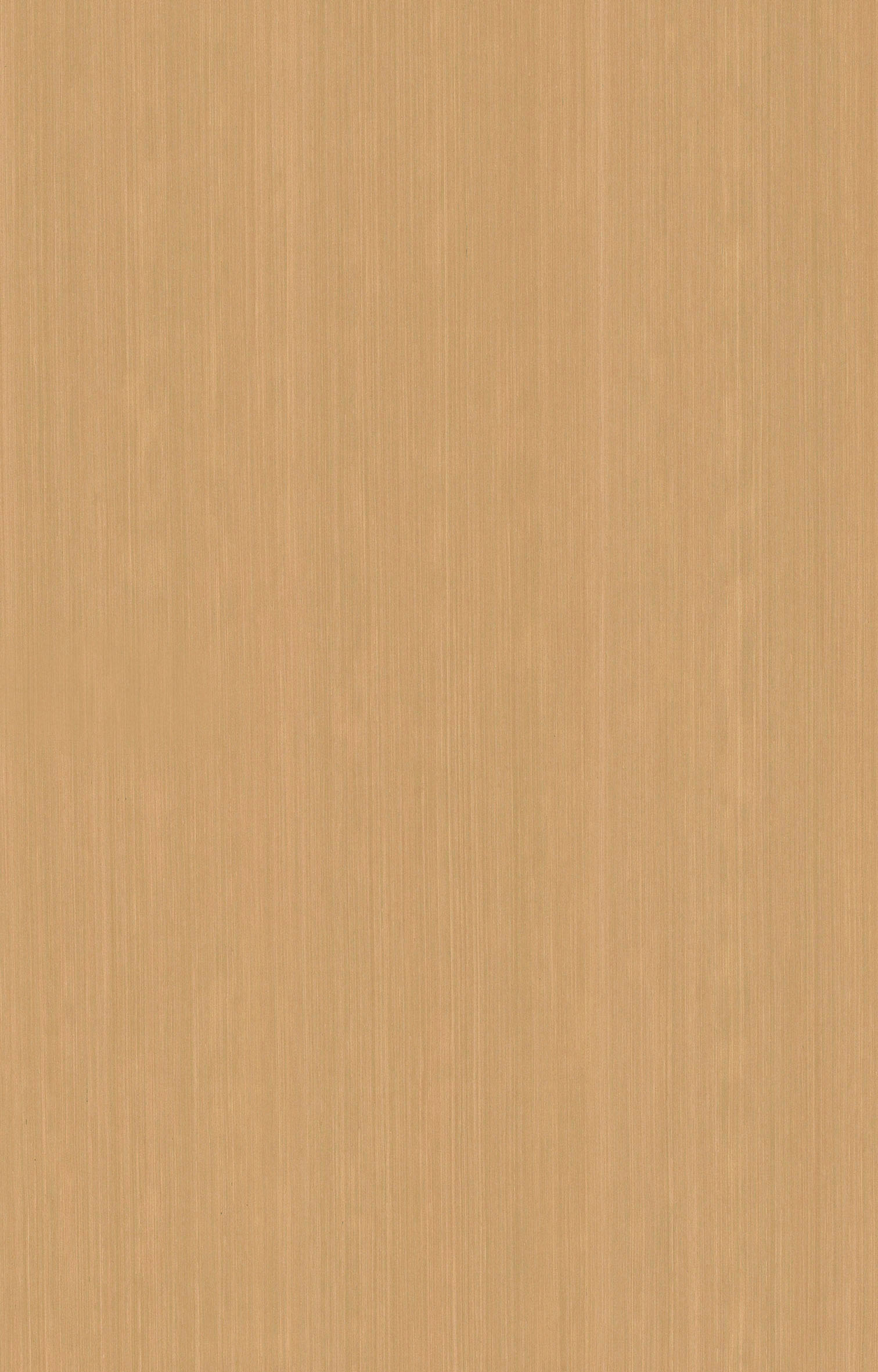 黃檀Q624.jpg