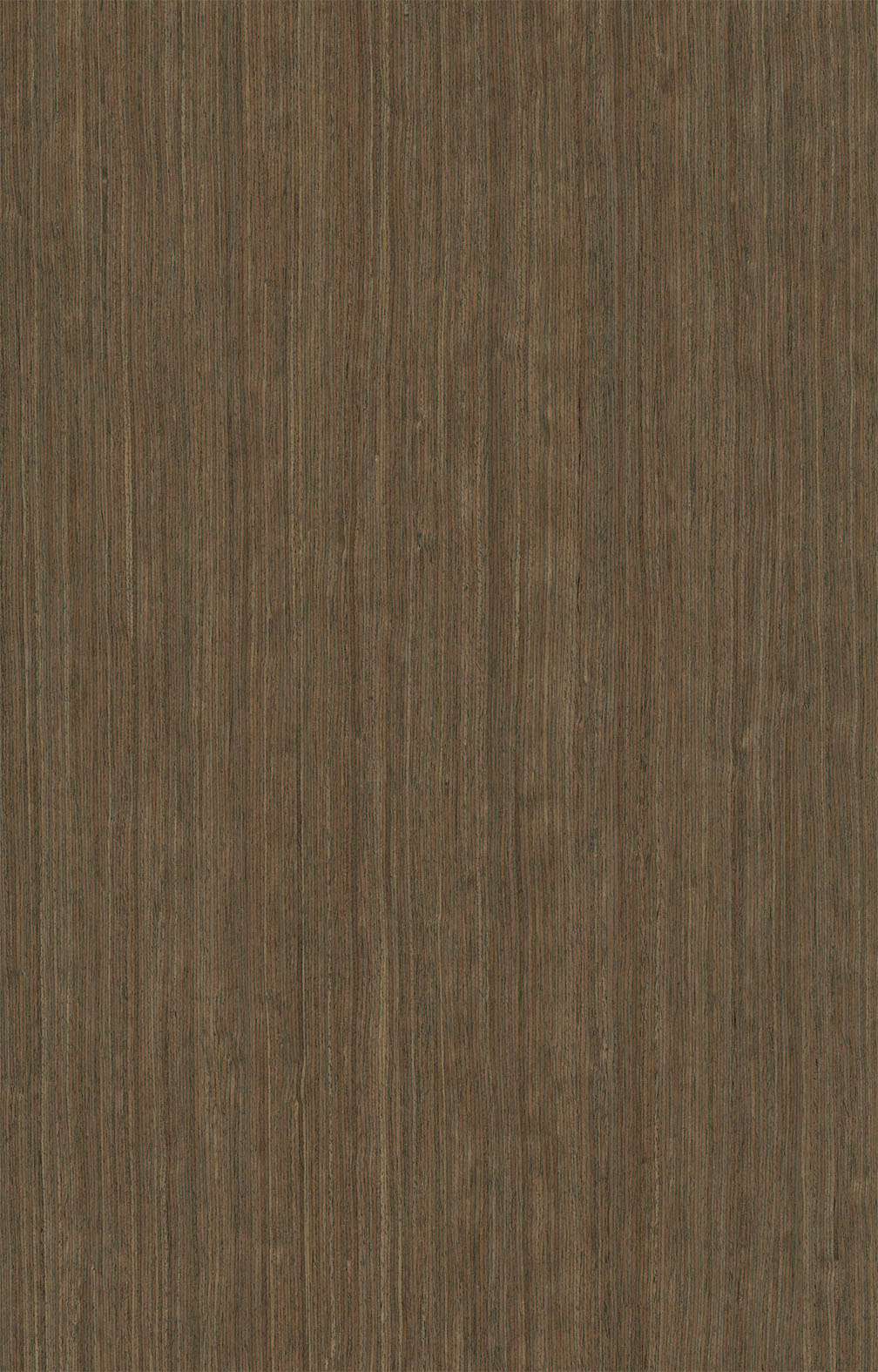黑胡桃5904.jpg