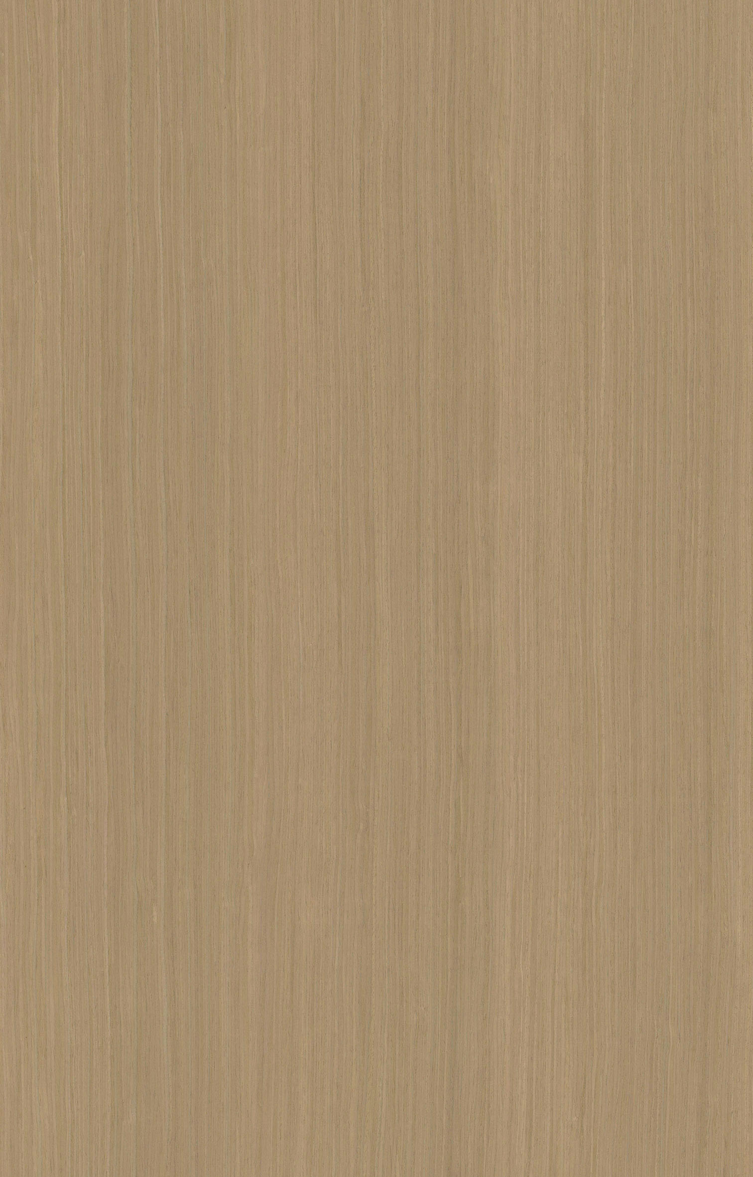 楸香木6309.jpg