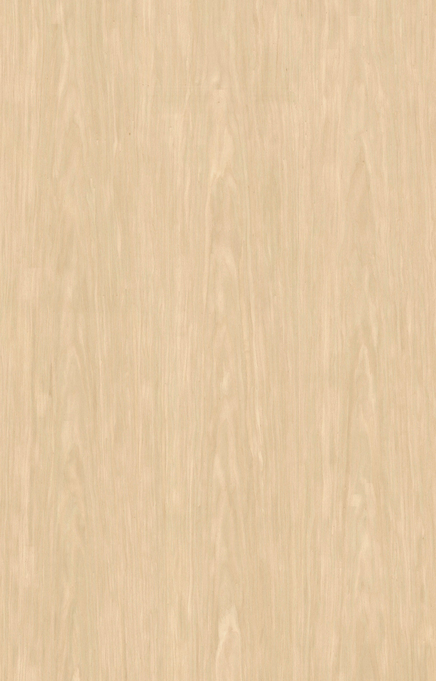 楸香木DF729.jpg