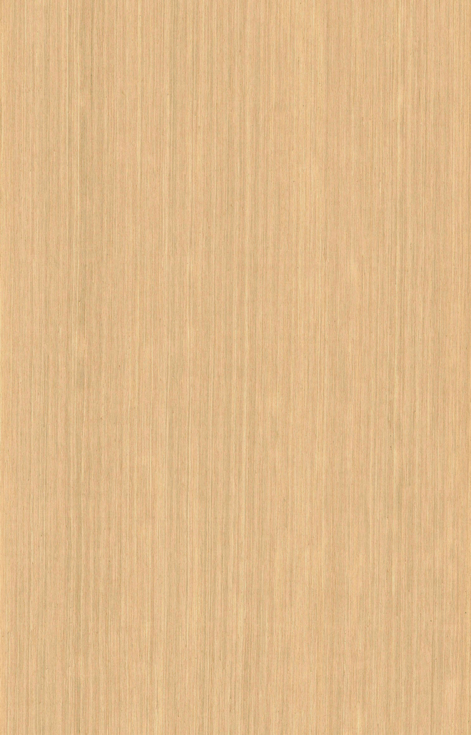 水曲柳S320.jpg