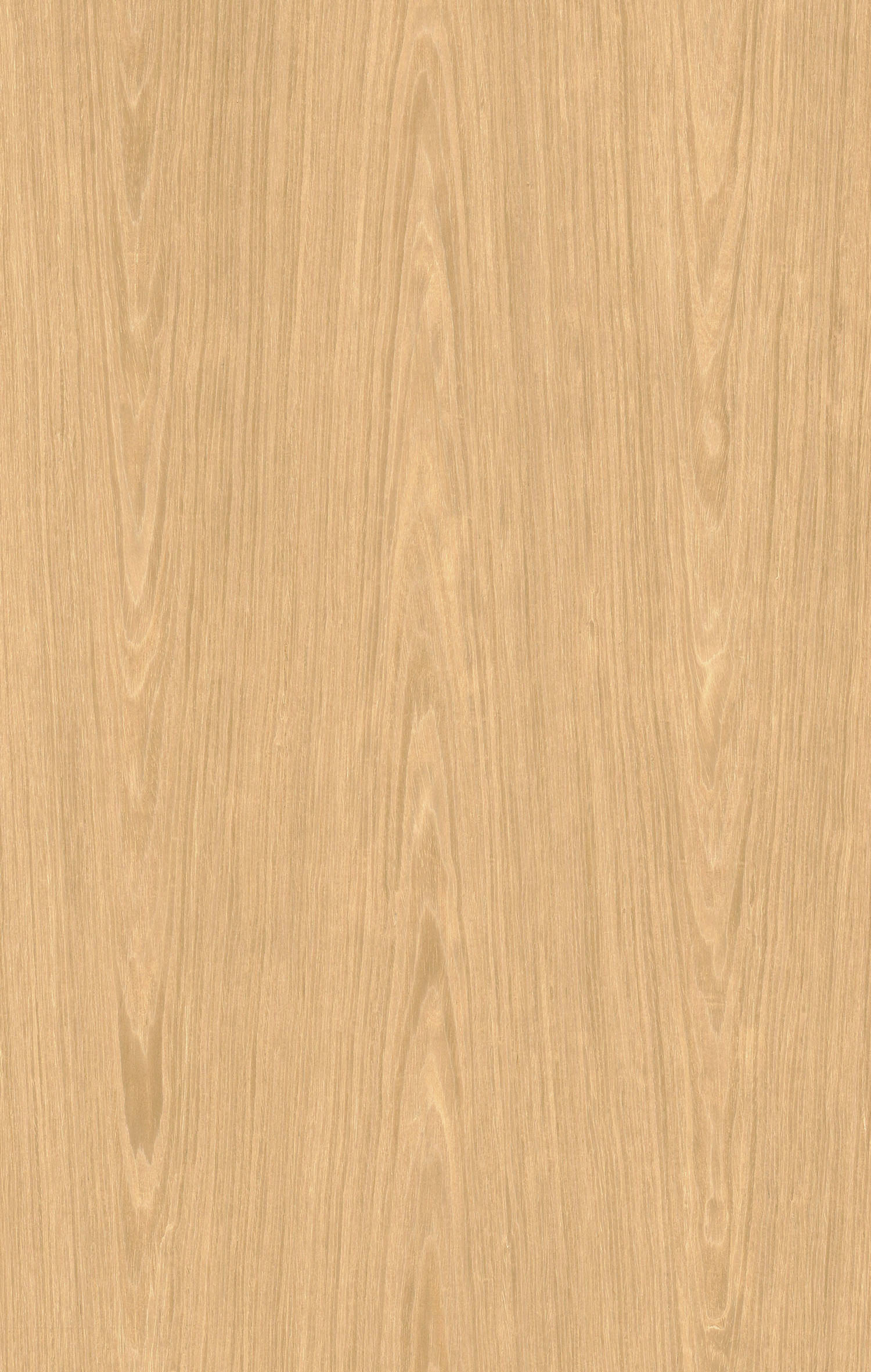 水洗橡木F309.jpg