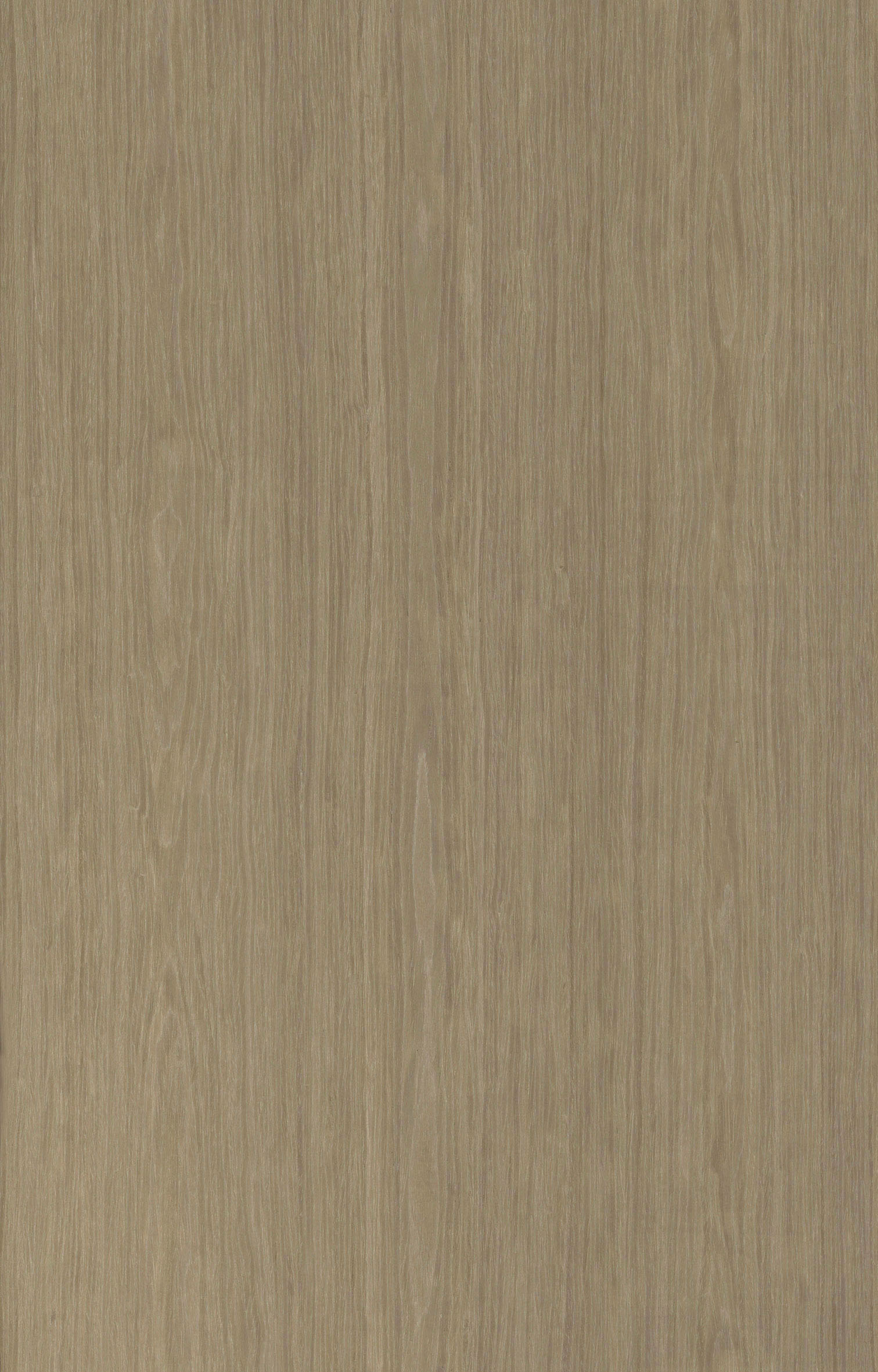 水洗玫瑰木F601.jpg