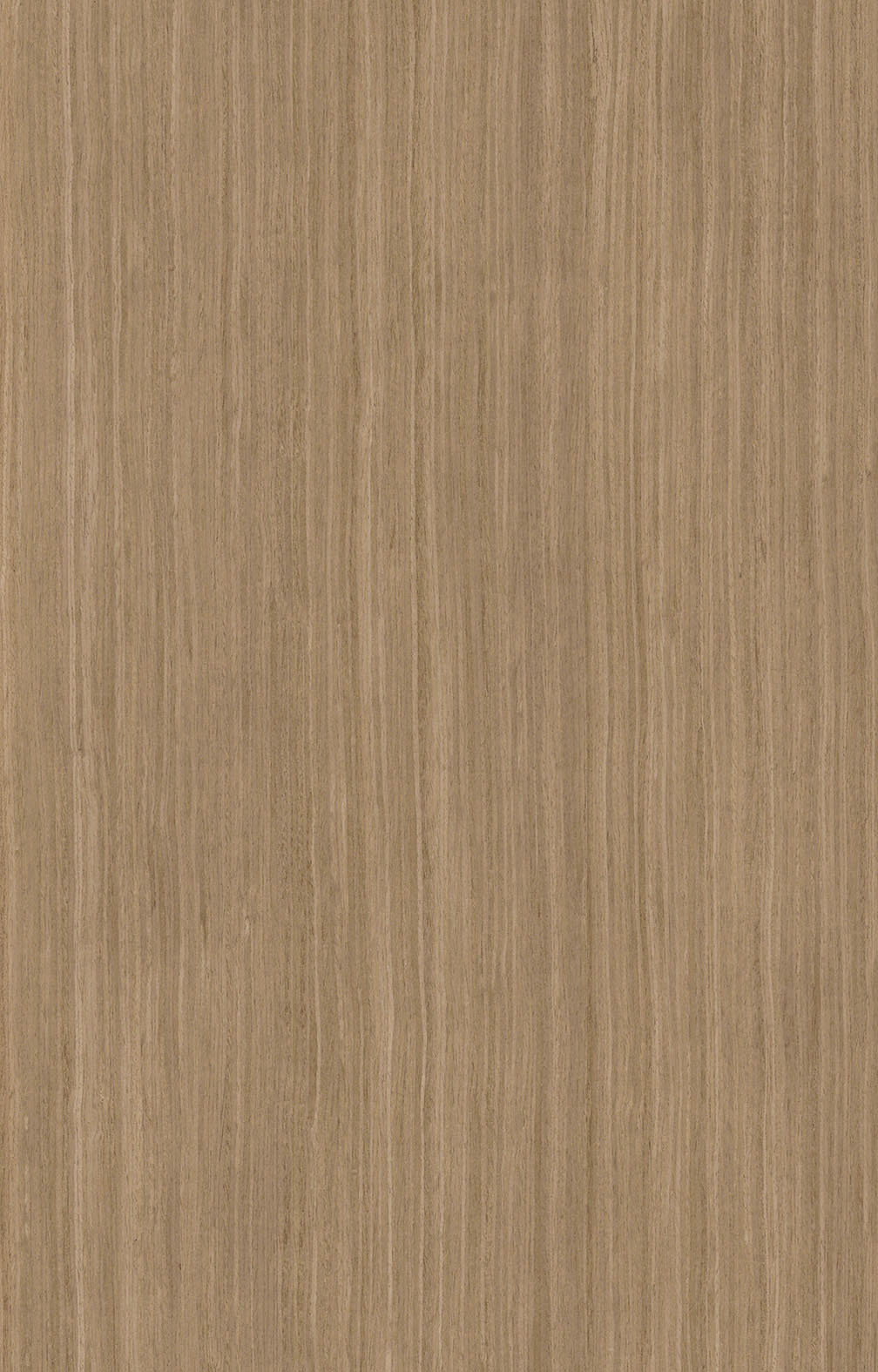 灰玫瑰5197.jpg