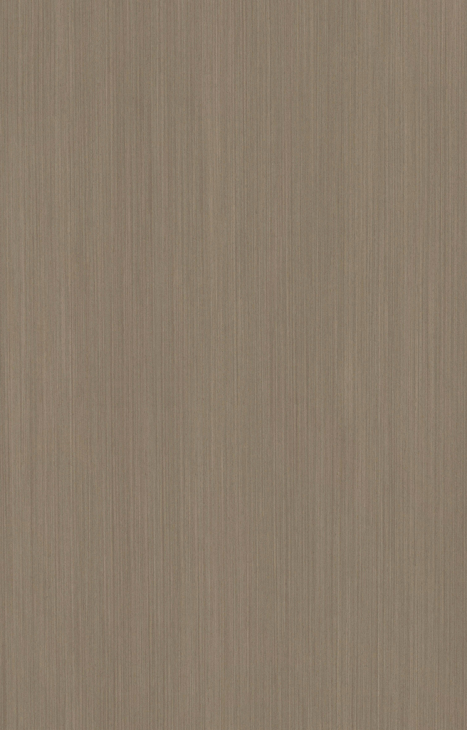 銀橡635Q.jpg