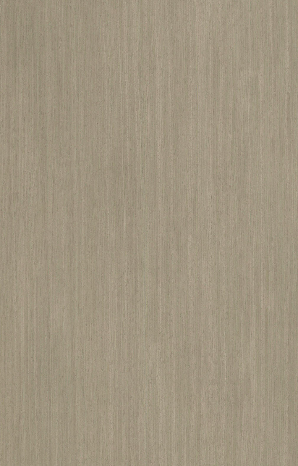 青玫瑰5907.jpg